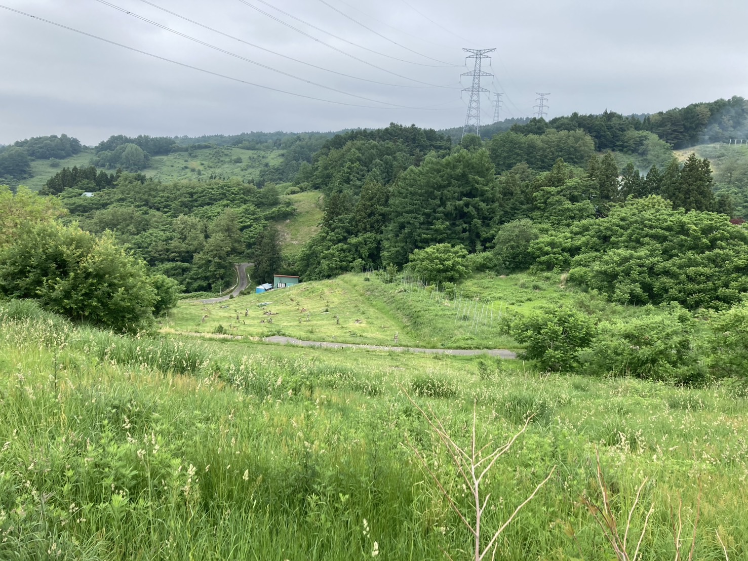 【青森県黒石市石名坂】畑・山林17筆あげます！