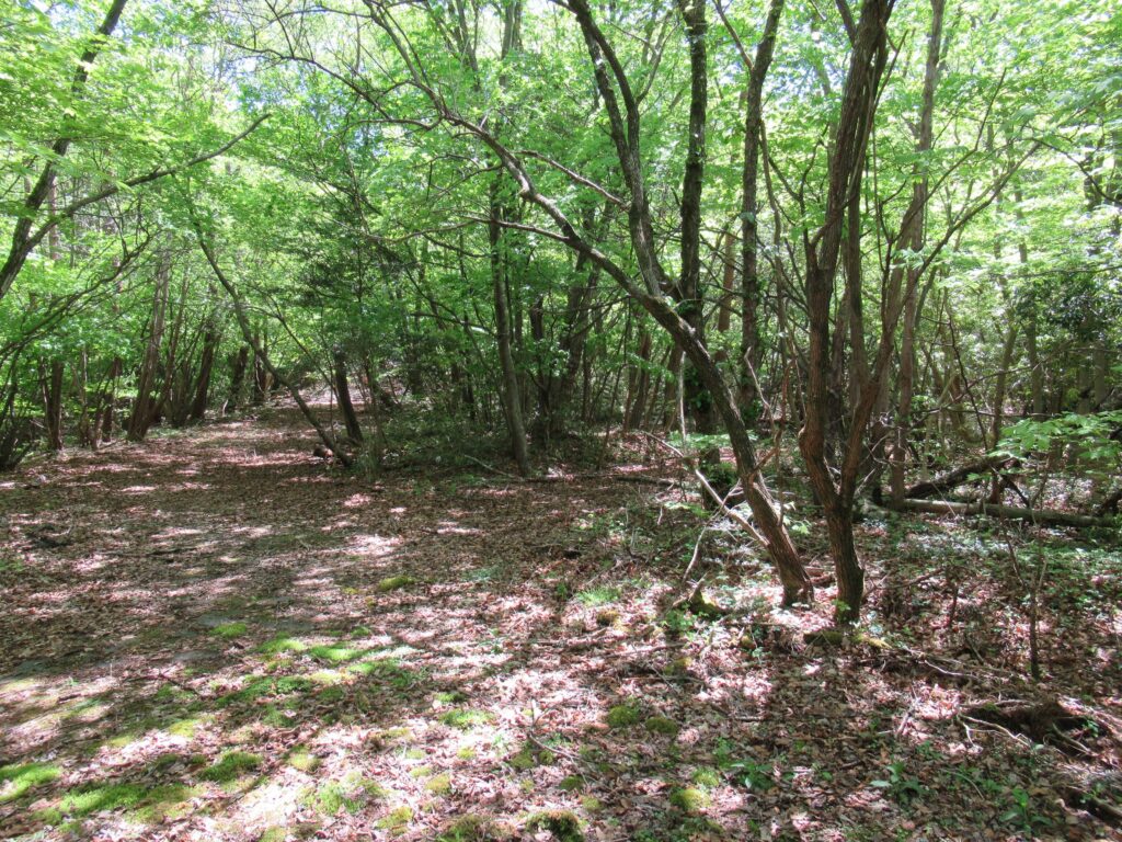 （お譲り先決定）【岐阜県土岐市鶴里町】山林1筆あげます！