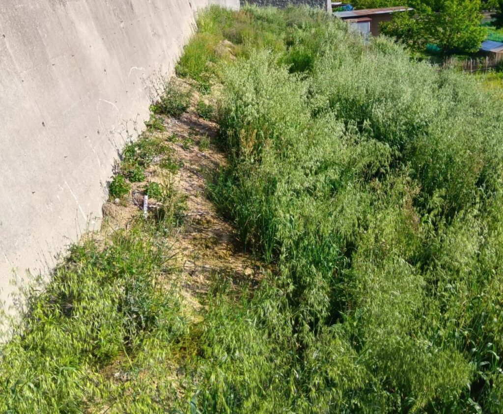【岡山県倉敷市児島稗田】農地2筆あげます！もともとは竹林でしたが、1年前に伐採しました。０円物件！