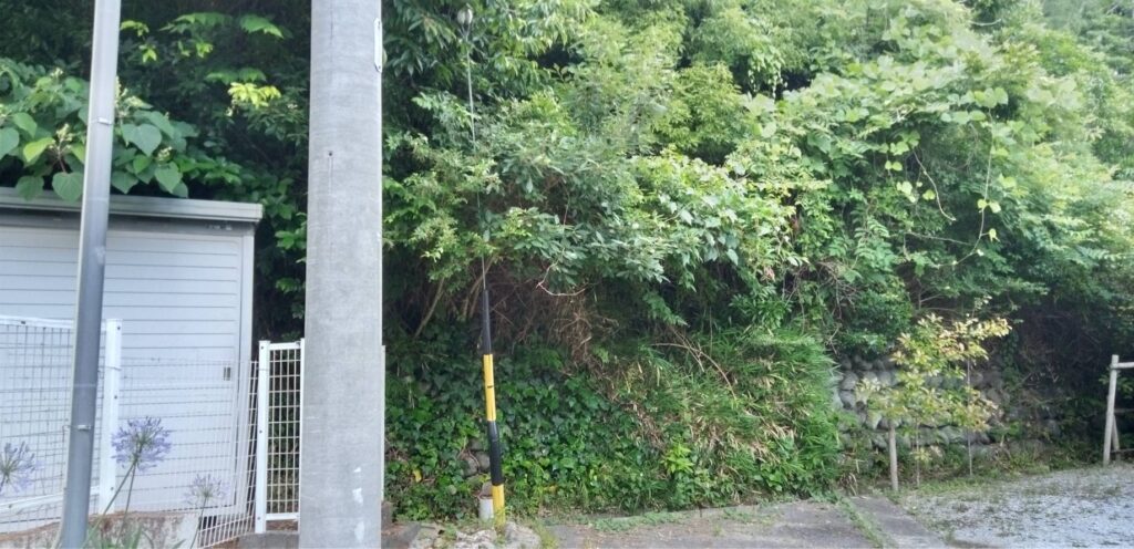 【静岡県浜松市富塚町】山林1筆あげます！０円物件！