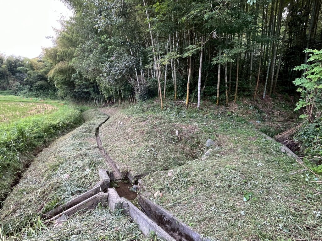 （商談中）№800-1【山口県山口市仁保中郷】山林2筆あげます！０円物件！