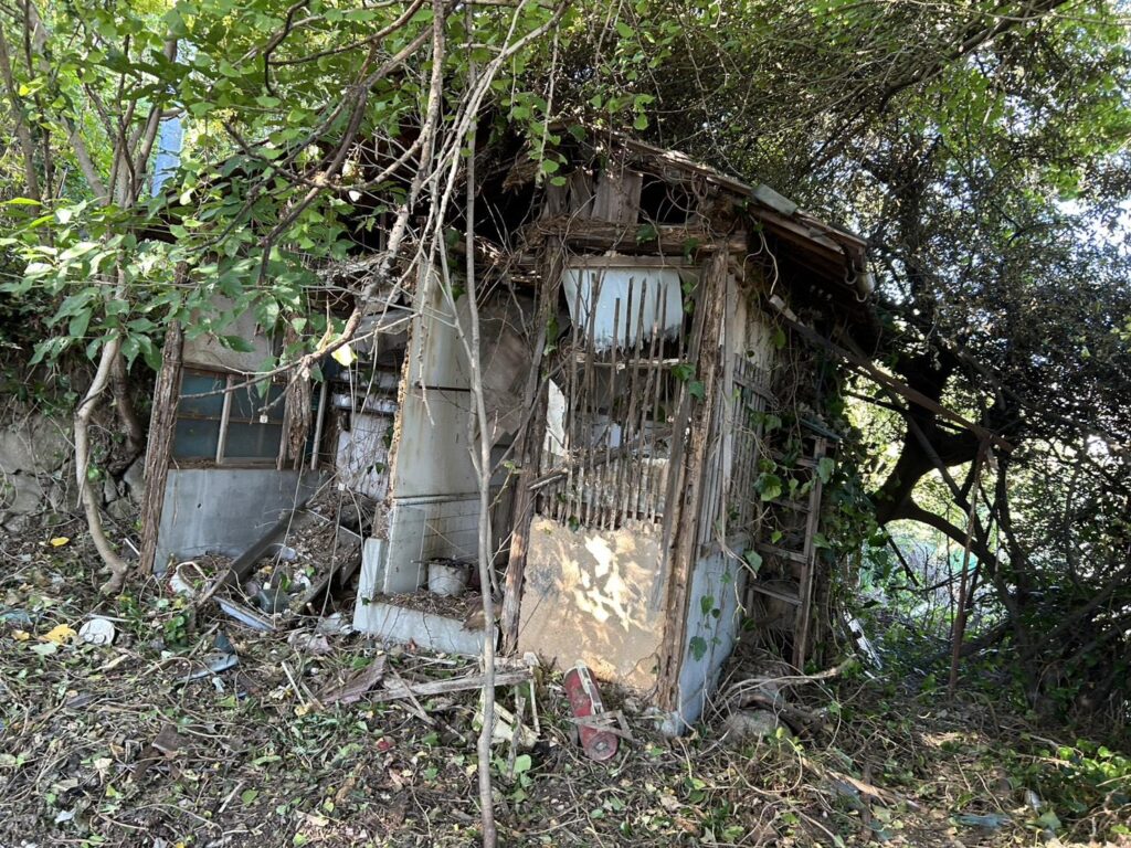 【広島県江田島市江田島町】小屋付きの宅地あげます！山林付き。2025年10月から所有者様が定期的に草刈り実施中です。タイミングが合えば所有者様にて現地を直接ご案内できます。０円物件！