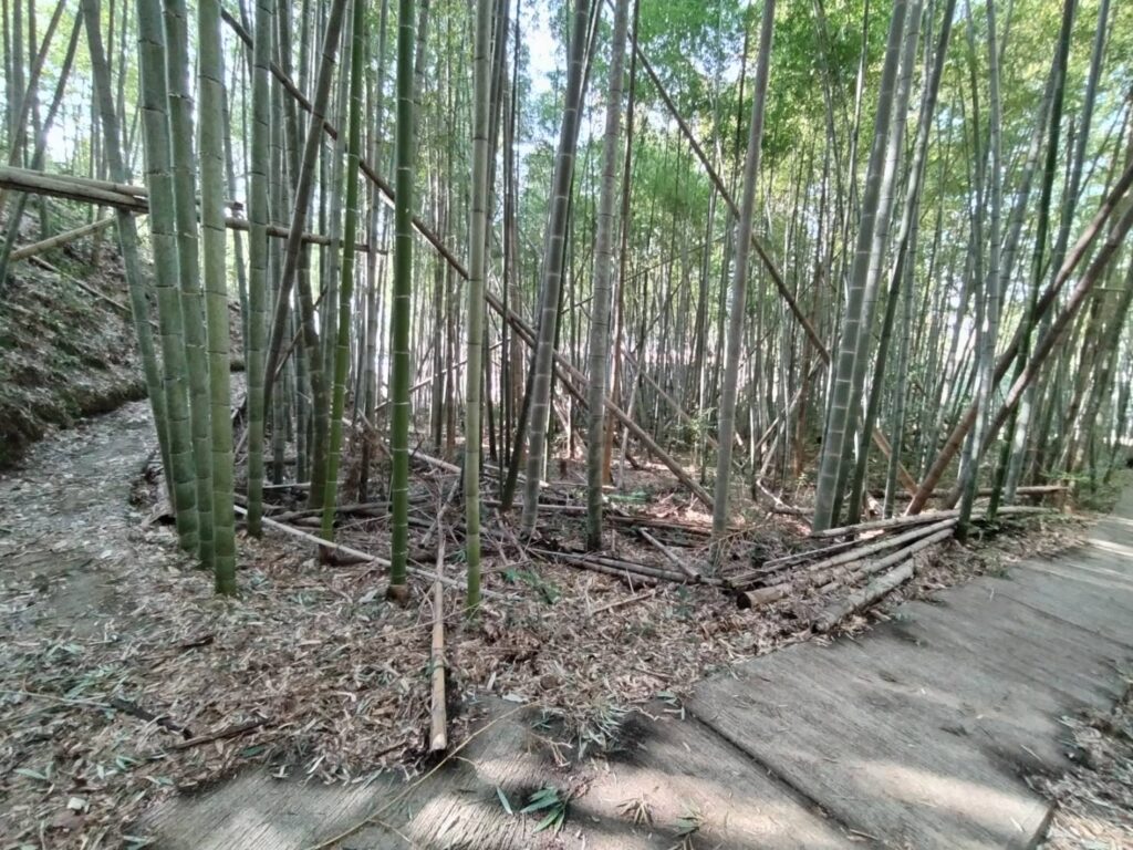 【広島県福山市新市町】土地（先祖から相続した山林・原野）あげます！譲ります！0円物件！無料！