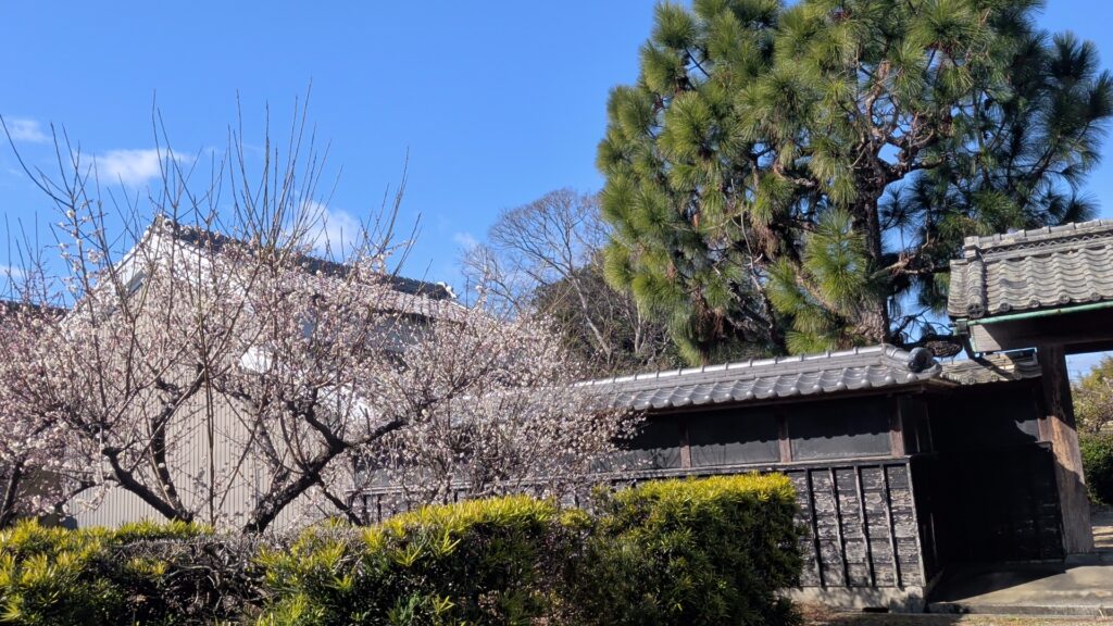 【三重県松阪市小舟江町】土地（建物がある宅地）あげます！譲ります！