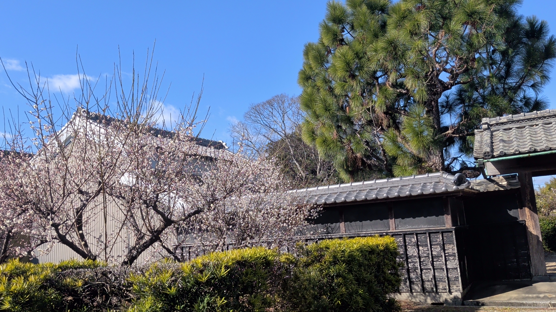 【三重県松阪市小舟江町】土地（建物がある宅地）あげます！譲ります！