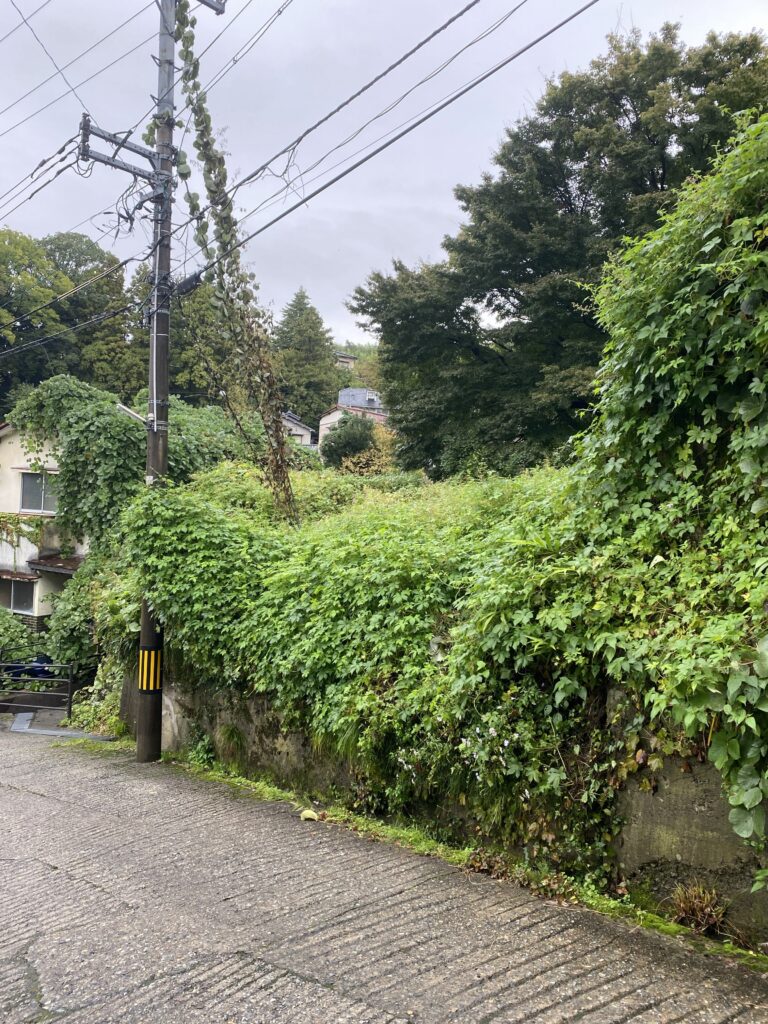 【石川県金沢市東山・卯辰町】土地（市街化区域内の農地・山林）5筆あげます！0円物件！無料！