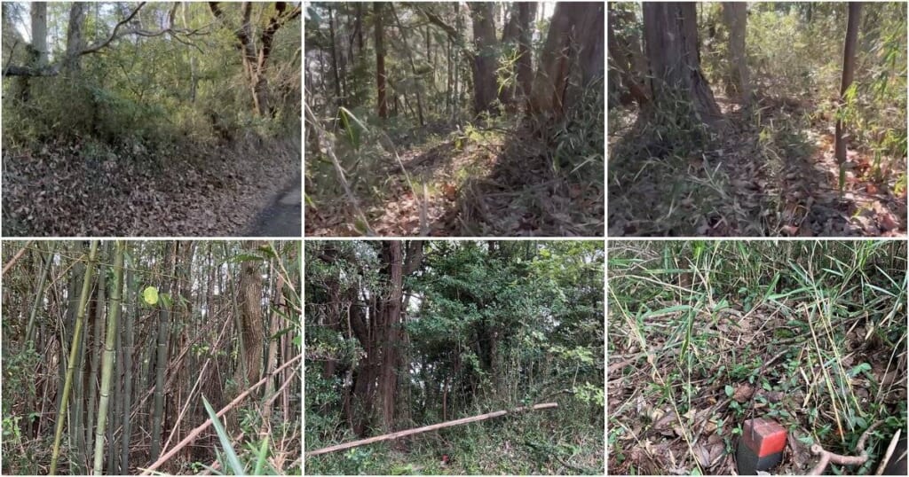 №C0335【茨城県行方市】山林・原野 4,476㎡（2筆）譲ります！0円物件！