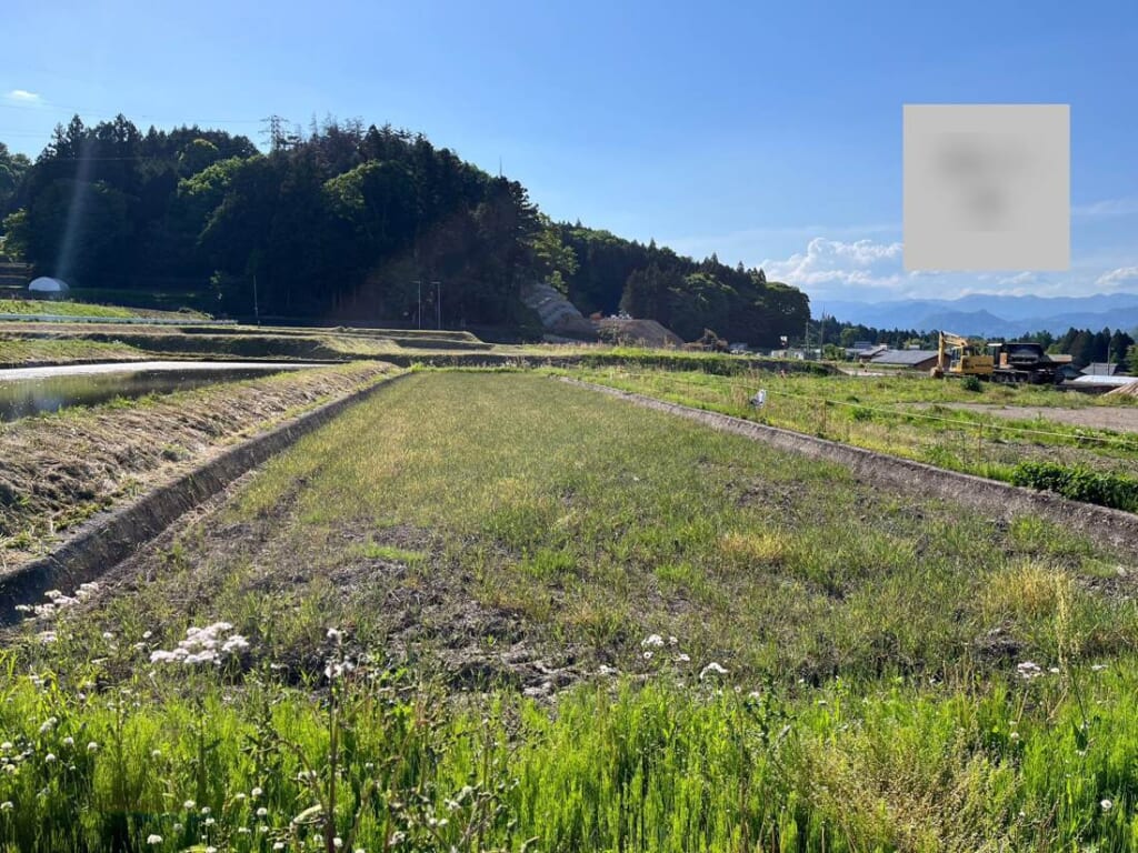 №C0319【群馬県吾妻郡東吾妻町】農地 3,816㎡（5筆）譲ります！0円物件！