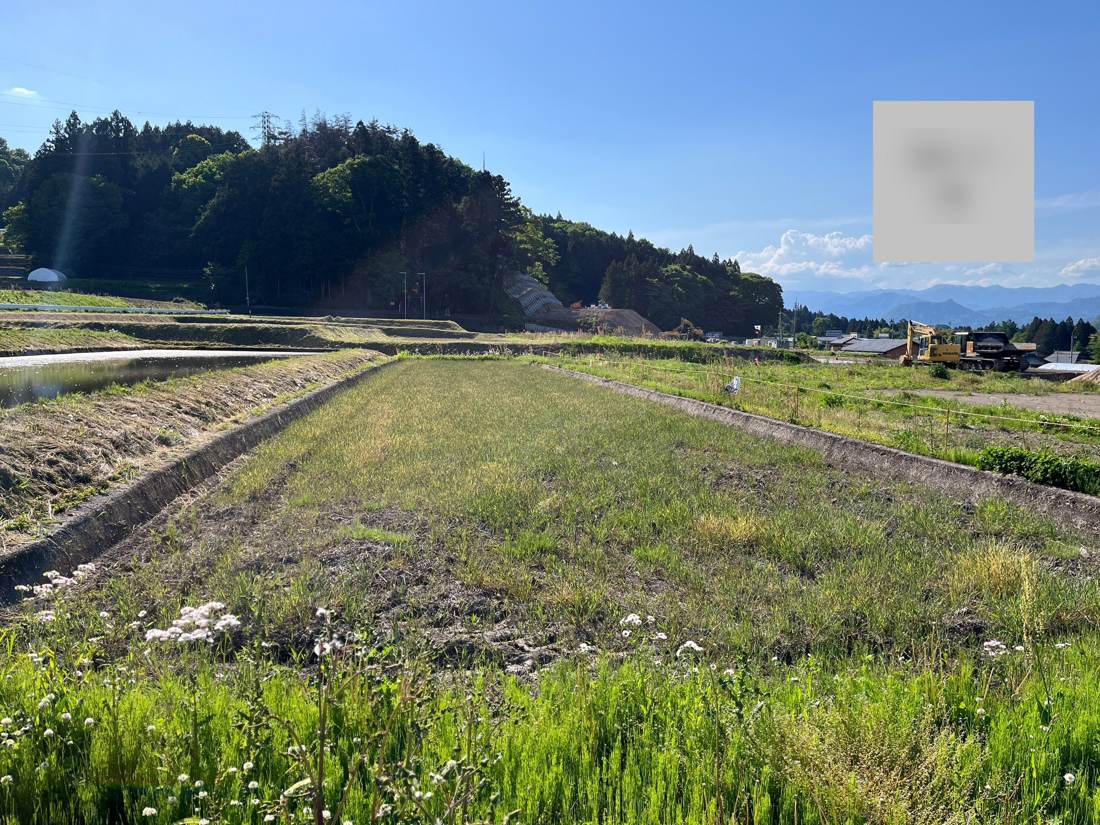№C0319【群馬県吾妻郡東吾妻町】農地 3,816㎡（5筆）譲ります！0円物件！