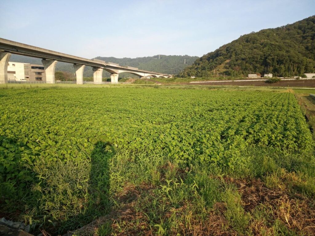 畑土・残土あげます 募集中 - その他