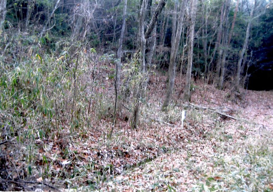 お譲り先決定）【岡山県美咲町休石】山林・分譲地・別荘地1筆あげます 