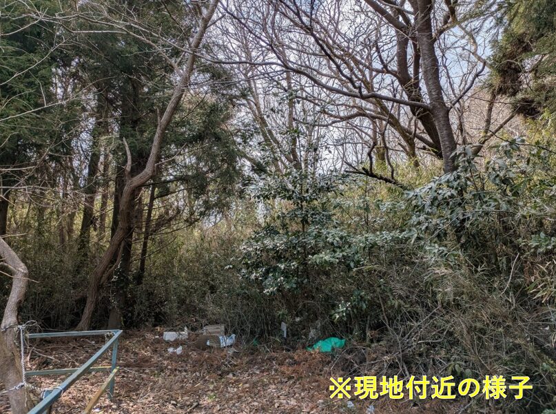 お譲り先決定）【茨城県鹿嶋市大小志崎】山林1筆あげます！ | 負動産の窓口