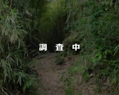 栃木県那須塩原市上塩原】土地（購入した別荘地内の山林）あげます 